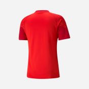Tréninkové tričko Zbrojovka Puma TeamCup Tee červené