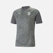 Tréninkové tričko Zbrojovka Puma TeamCup Tee šedé